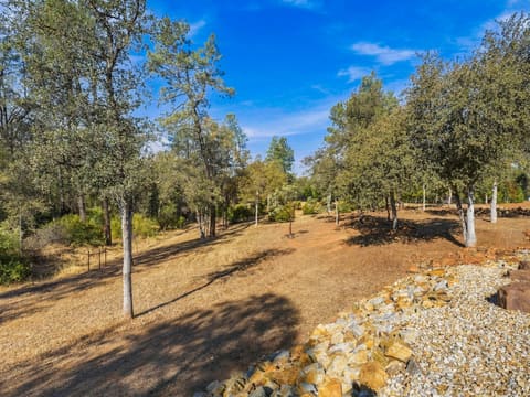 Photograph 38 of 9081 Silver King Rd