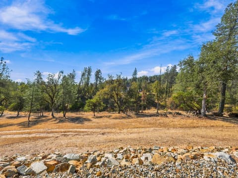 Photograph 37 of 9081 Silver King Rd